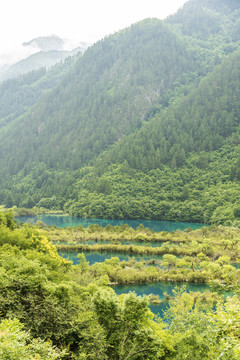 九寨沟风景