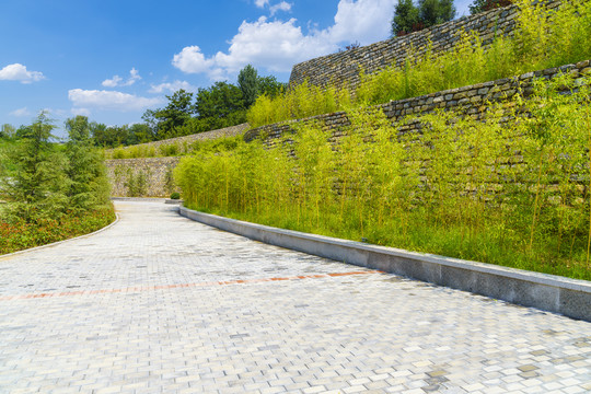 竹林背景的公园青砖路面景观