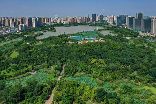 钵池山鸟瞰