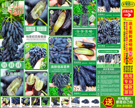 藍寶石葡萄詳情金手指葡萄詳情