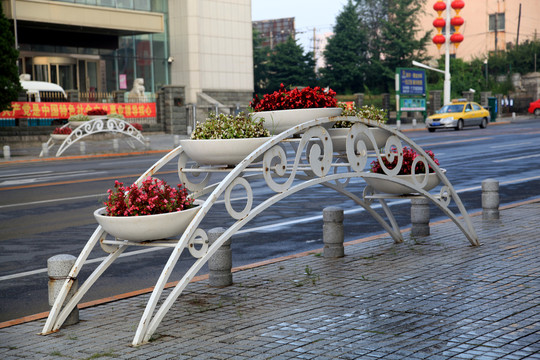 城市花坛