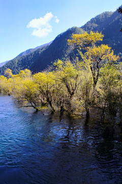 金秋九寨沟山水