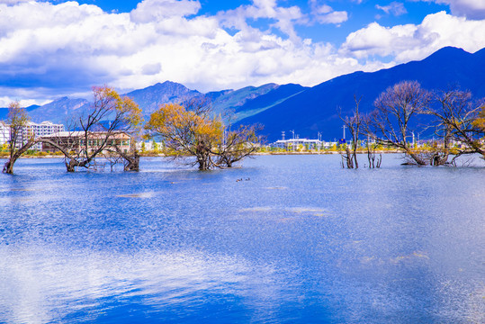 山水风景