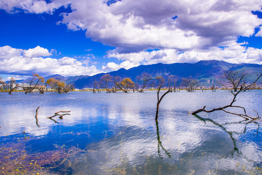 山水风景