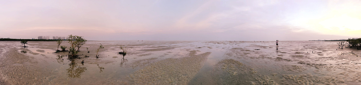 北海红树林沙滩湿地退潮全景大图