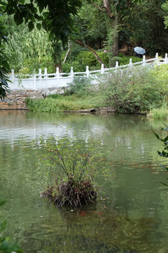 池塘栏杆