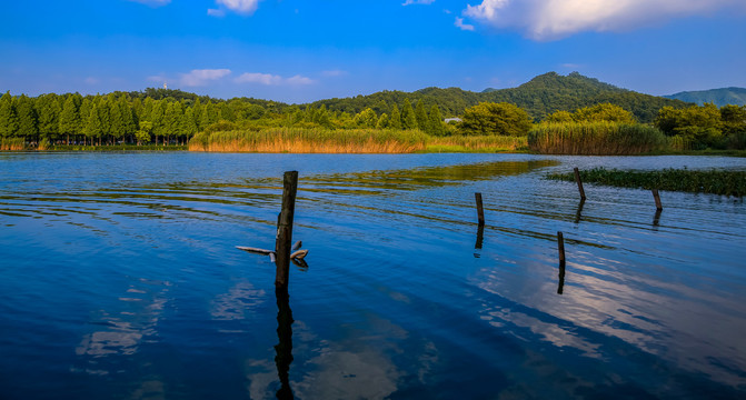 宁波东钱湖湿地