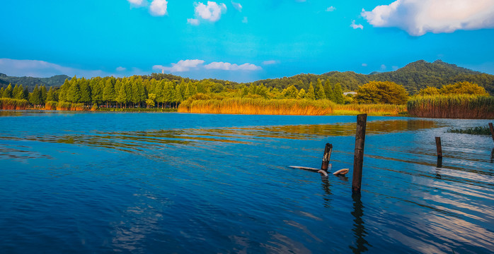 宁波东钱湖湿地