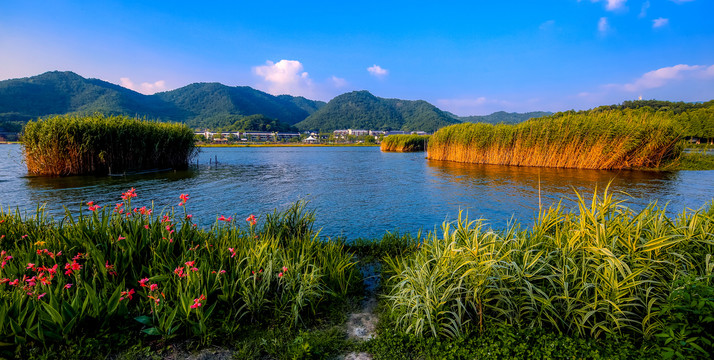 宁波东钱湖湿地风光