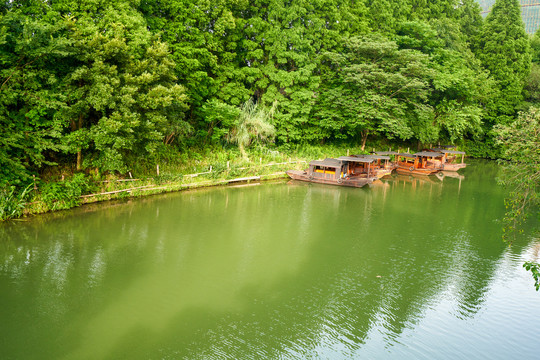 河畔风景