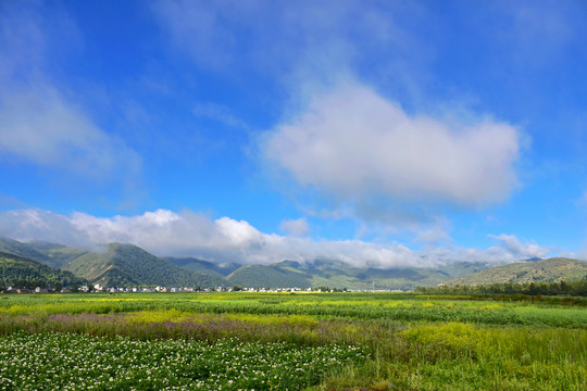 乡村风光