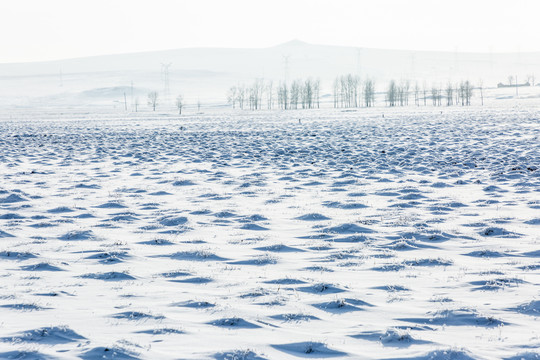 冬季雪原树林