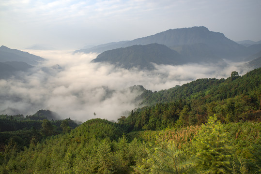 山谷云海