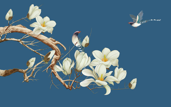 玉蘭花鳥