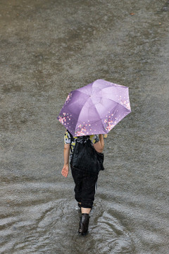 雨里的行人