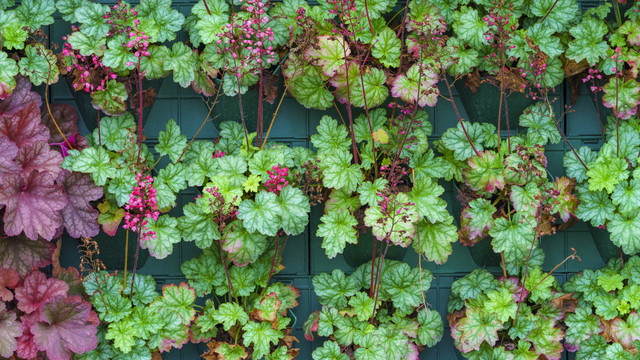 绿叶花卉植物背景墙