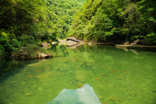 溪流水潭