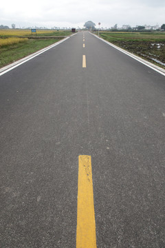 田野里的柏油路