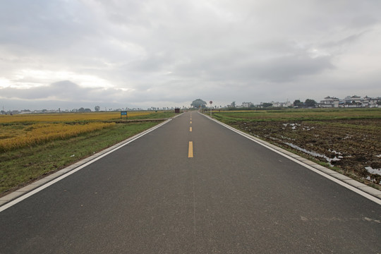 田野里的柏油路