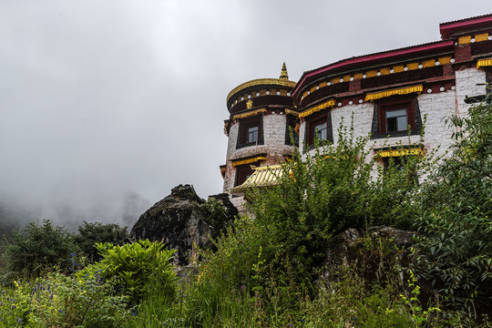 仰拍冲古寺