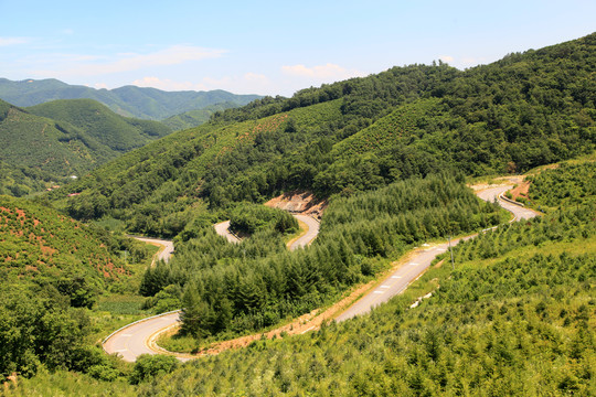 盘山公路