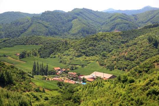 大山深处