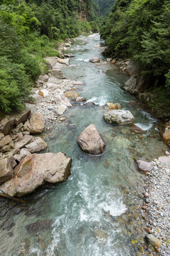 清澈山泉河水