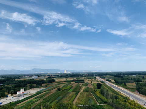 田野