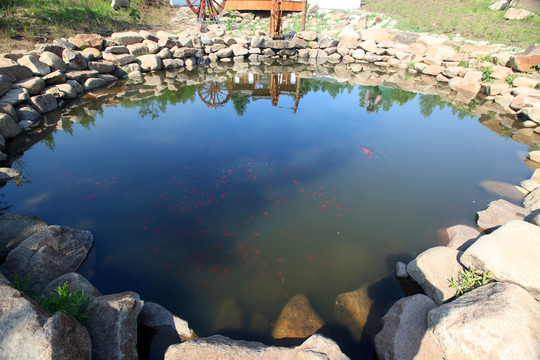 琵岩山放生池