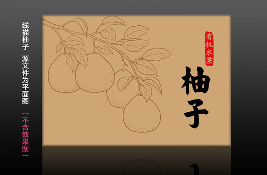 線描柚子