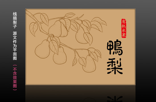 線描鴨梨