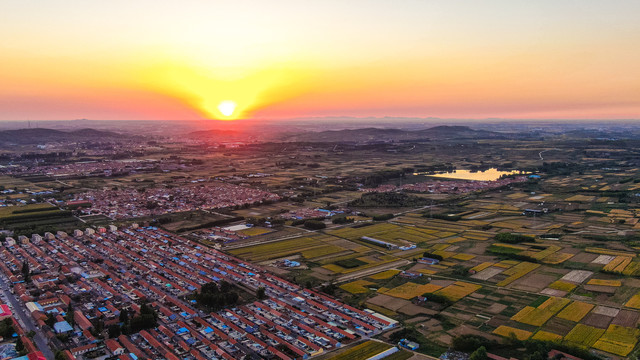 小麦产区