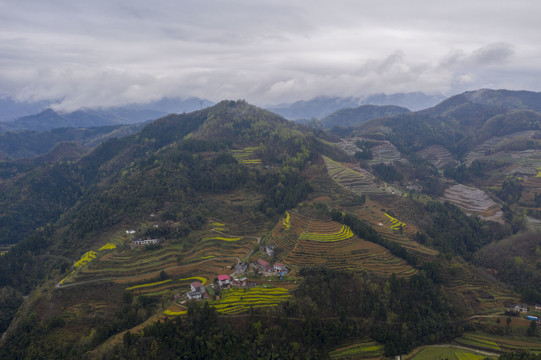 高山梯田