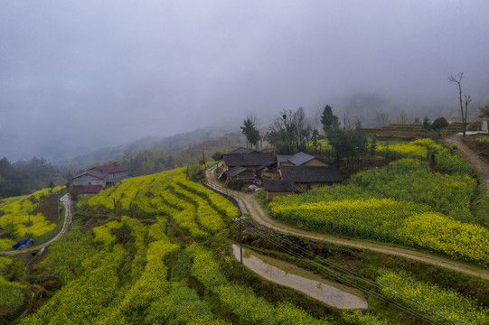 凤堰古梯田