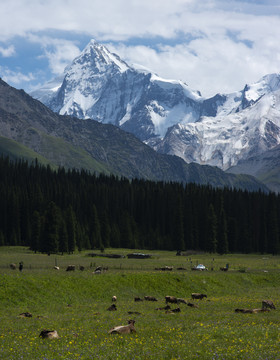 天山