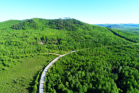 漠河林区山林公路