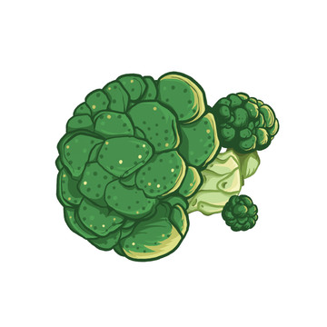 蔬菜西藍(lán)花插畫元素