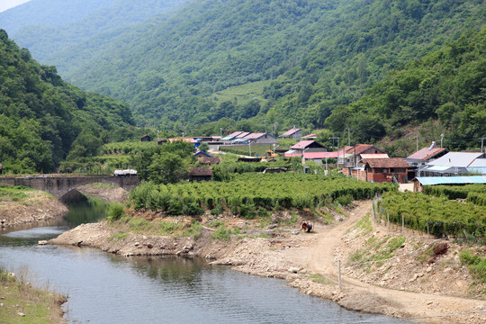 山里人家