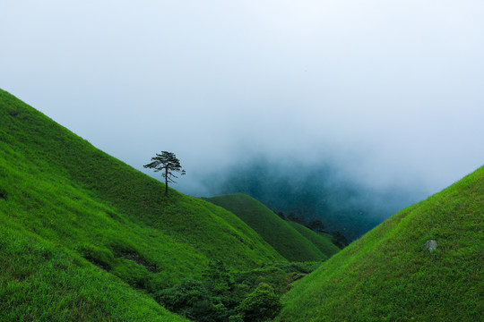 徒步武功山