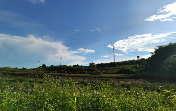 曲界新农村田地