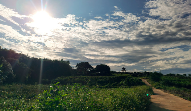 田间凉亭