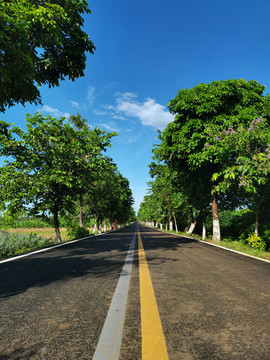 徐闻乡村公路