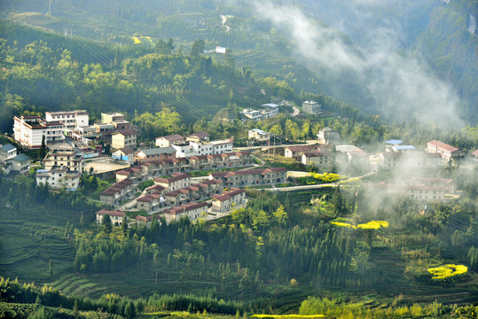 新村早晨