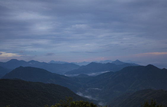 崇义上堡万长山茶园日出