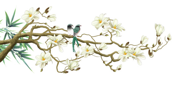 高清分層玉蘭花鳥