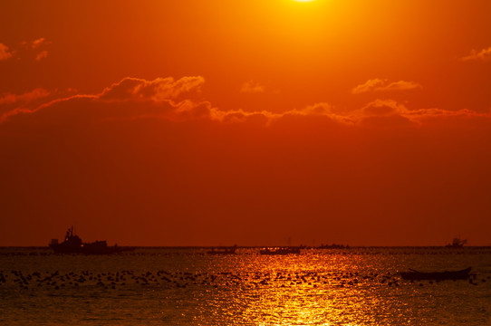 日出东海朝霞满天