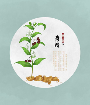 黃精