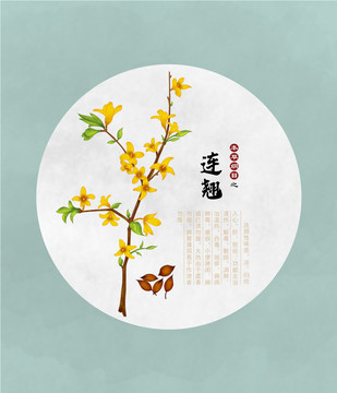 連翹