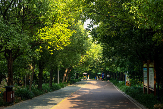 禹州市森林植物园