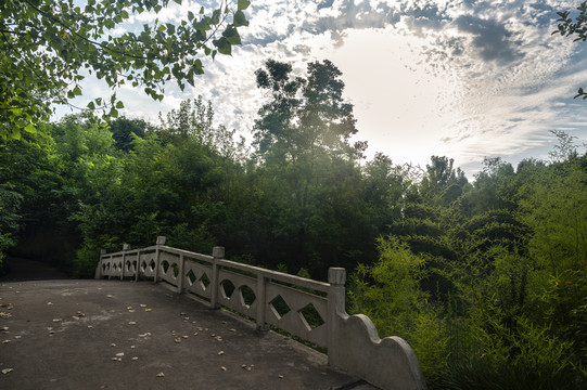 禹州市森林植物园